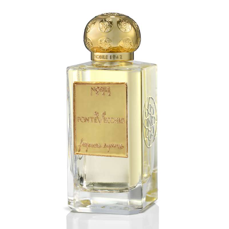PONTEVECCHIO - EDP - immagine 2