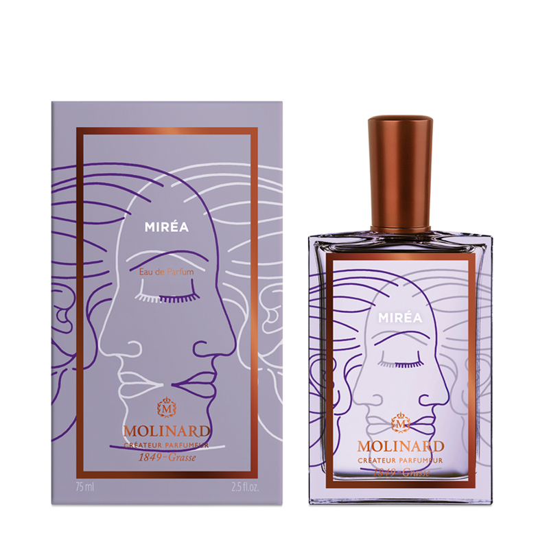 MIREA EDP - immagine 2