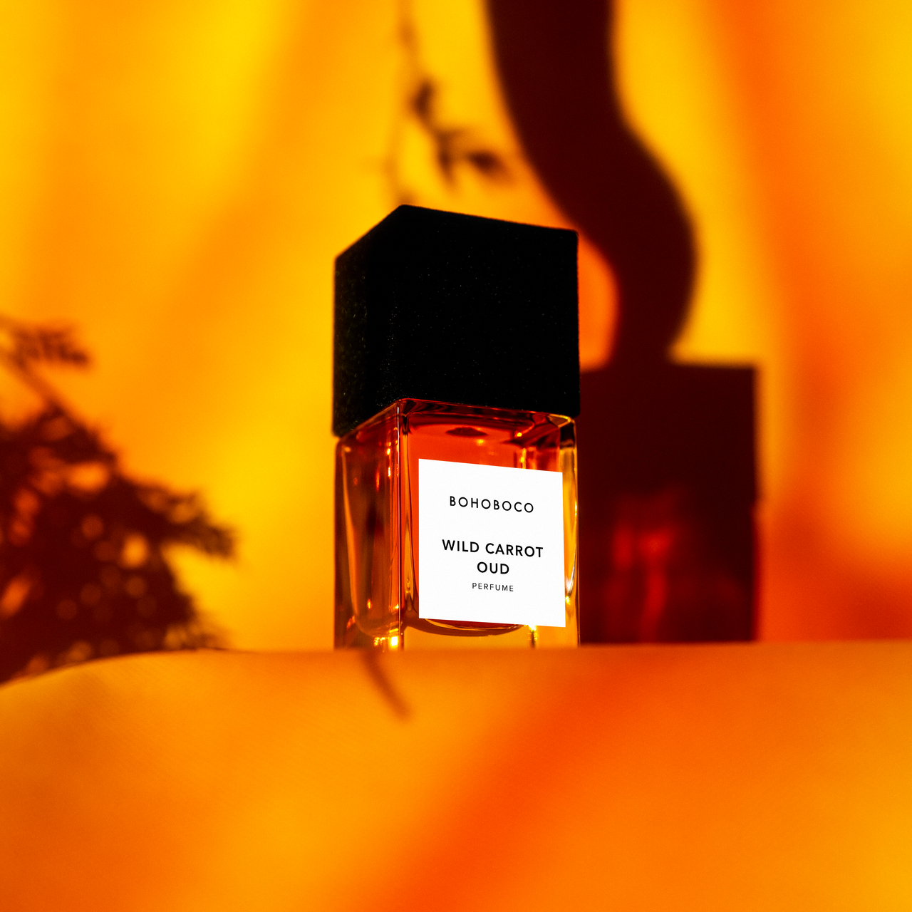 WILD CARROT OUD - EXTRAIT D.P. 50 ML - immagine 4