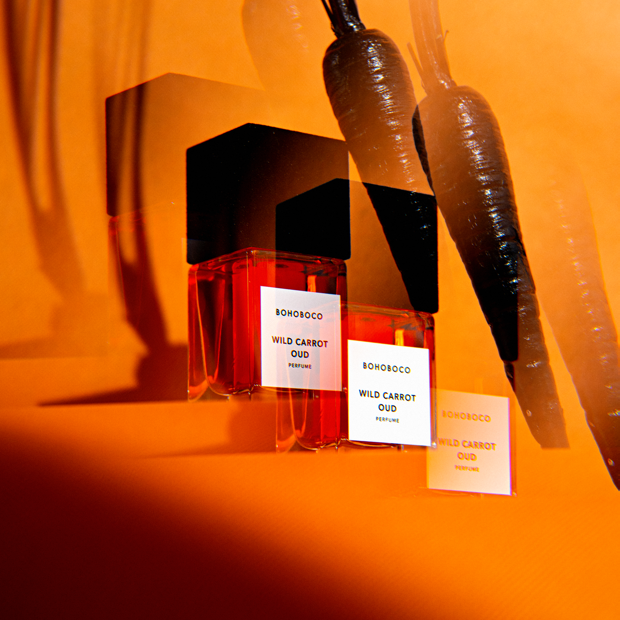 WILD CARROT OUD - EXTRAIT D.P. 50 ML - immagine 3